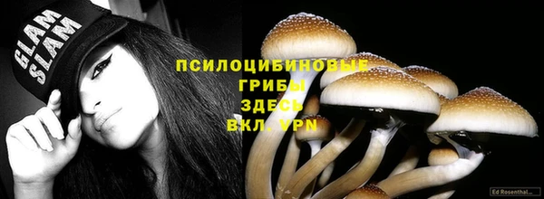 дживик Богородицк