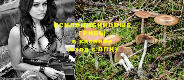 дживик Богородицк