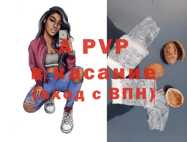 соль ск Беломорск