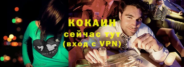 дживик Богородицк