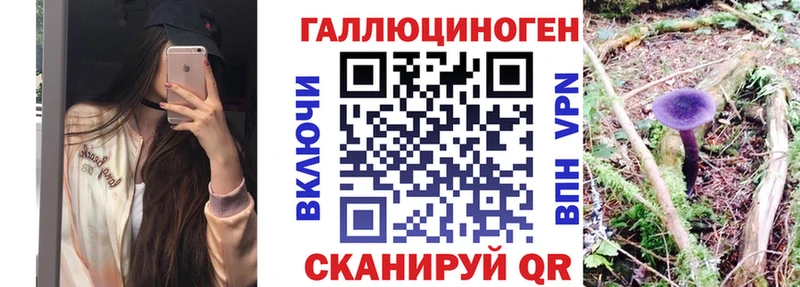 МЕГА ссылка  Бикин  Псилоцибиновые грибы мухоморы  где можно купить наркотик 