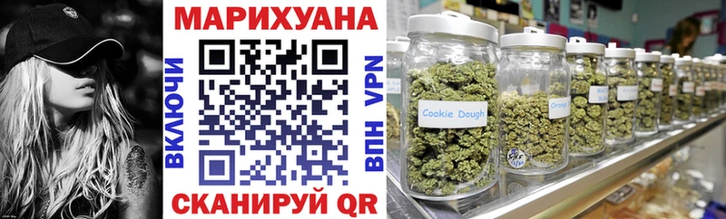 закладки  Бикин  Конопля план 